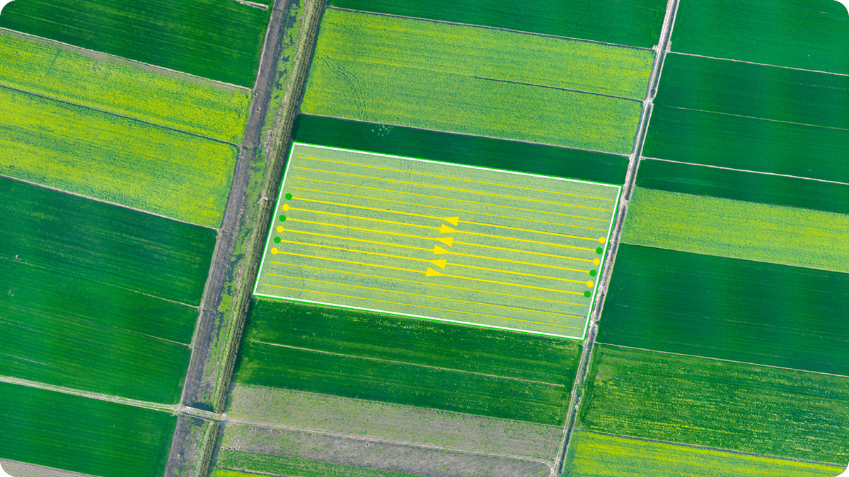 обмер полей дроном беларусь