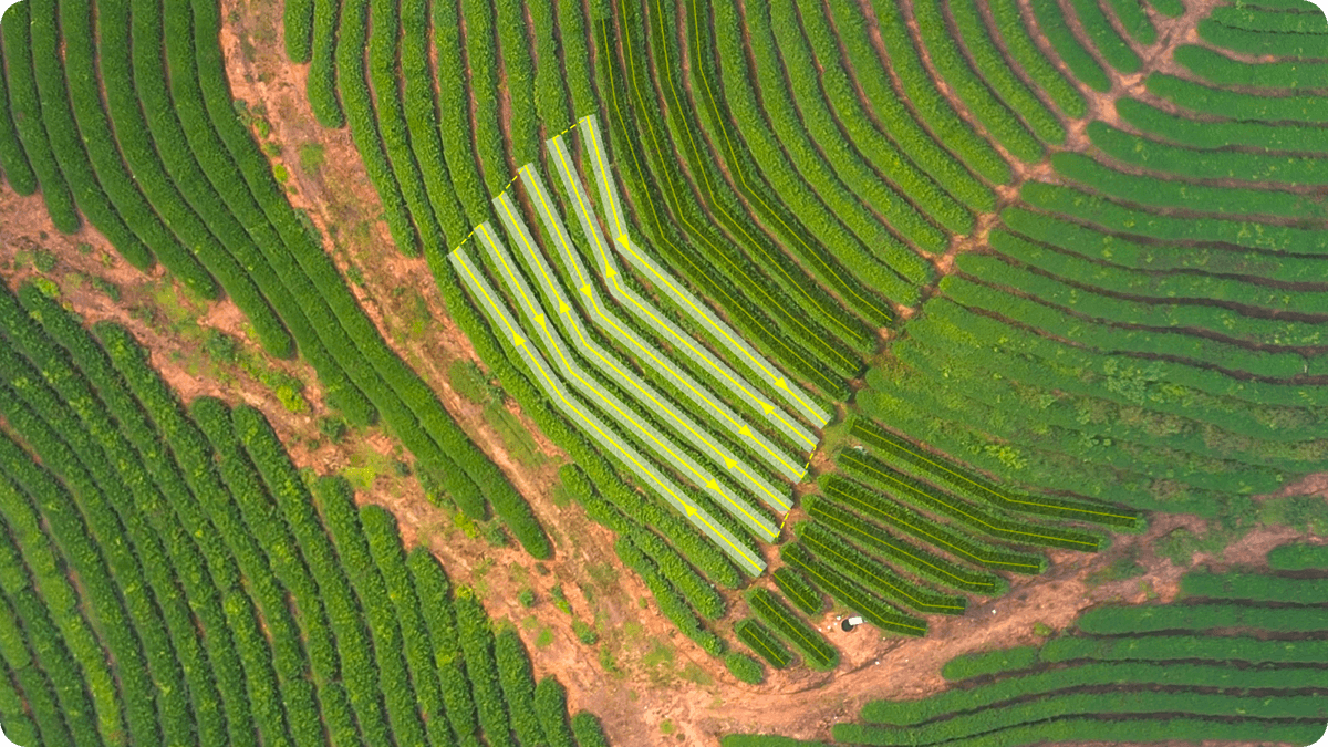 Исследования и аналитика