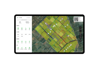 Исследования и Аналитика